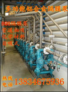 bqg 350 0.3隔膜泵